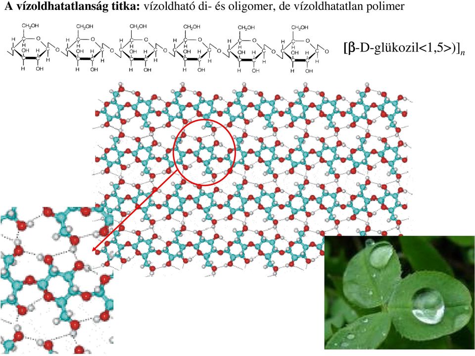 oligomer, de