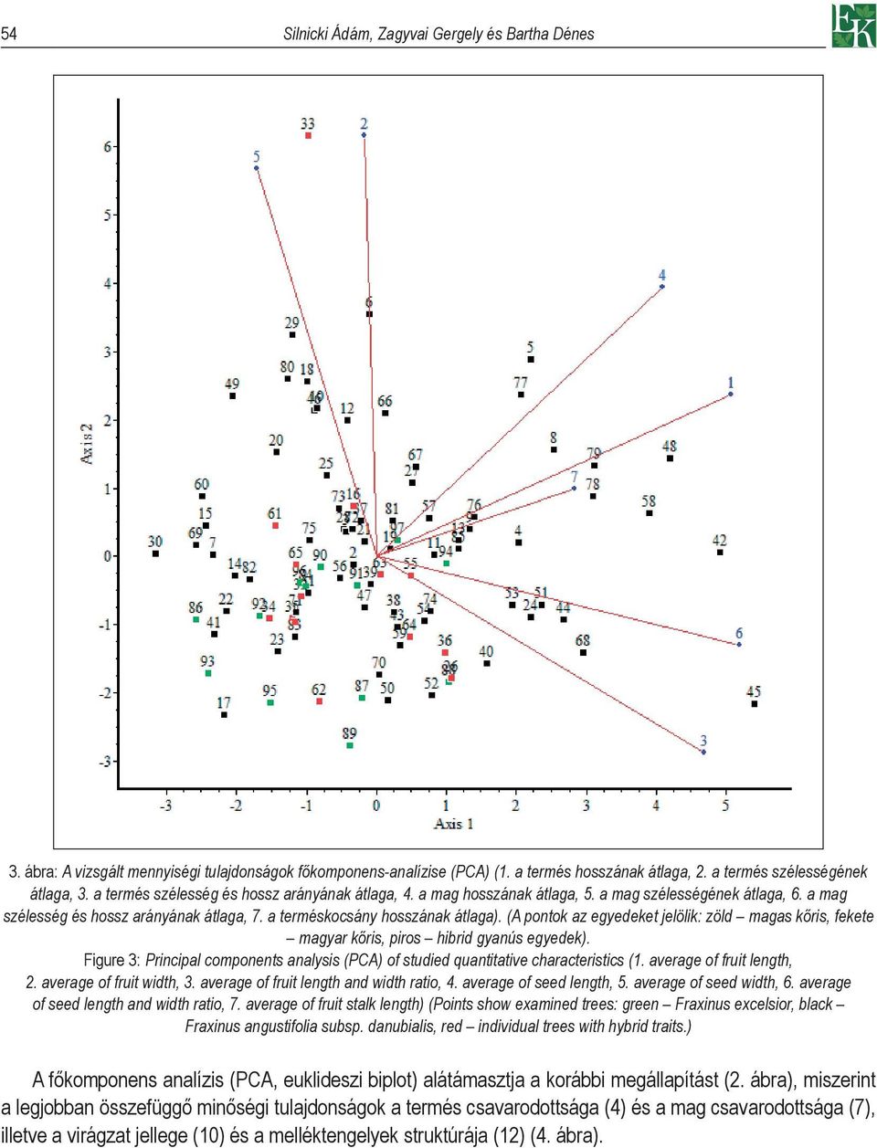 (A pontok az egyedeket jelölik: zöld magas kőris, fekete magyar kőris, piros hibrid gyanús egyedek). Figure 3: Principal components analysis (PCA) of studied quantitative characteristics (1.