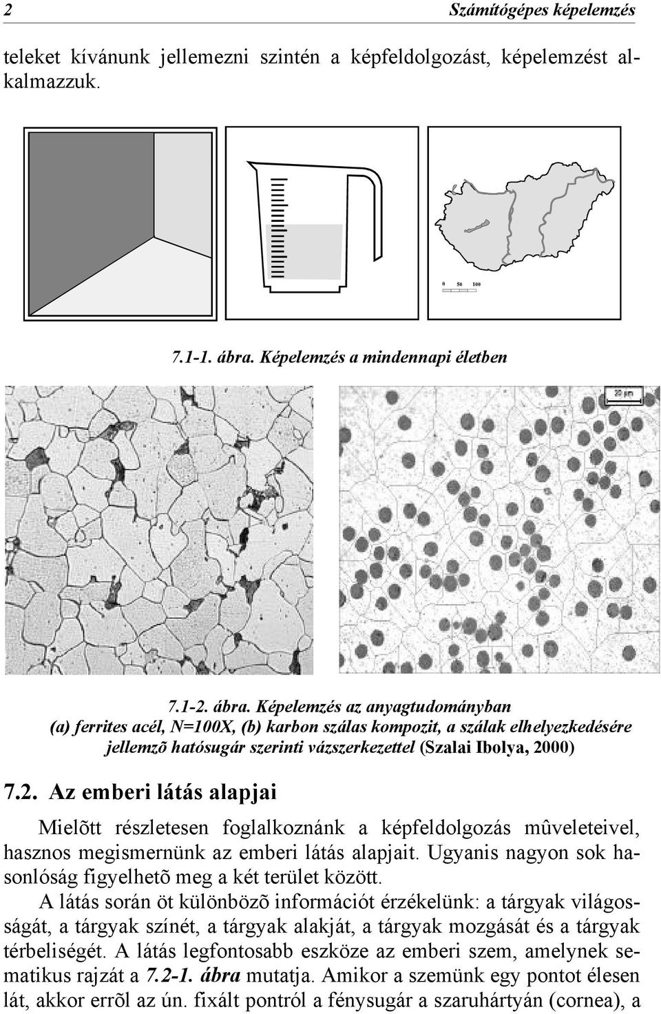 Képelemzés az anyagtudományban (a) ferrites acél, N=100X, (b) karbon szálas kompozit, a szálak elhelyezkedésére jellemzõ hatósugár szerinti vázszerkezettel (Szalai Ibolya, 20