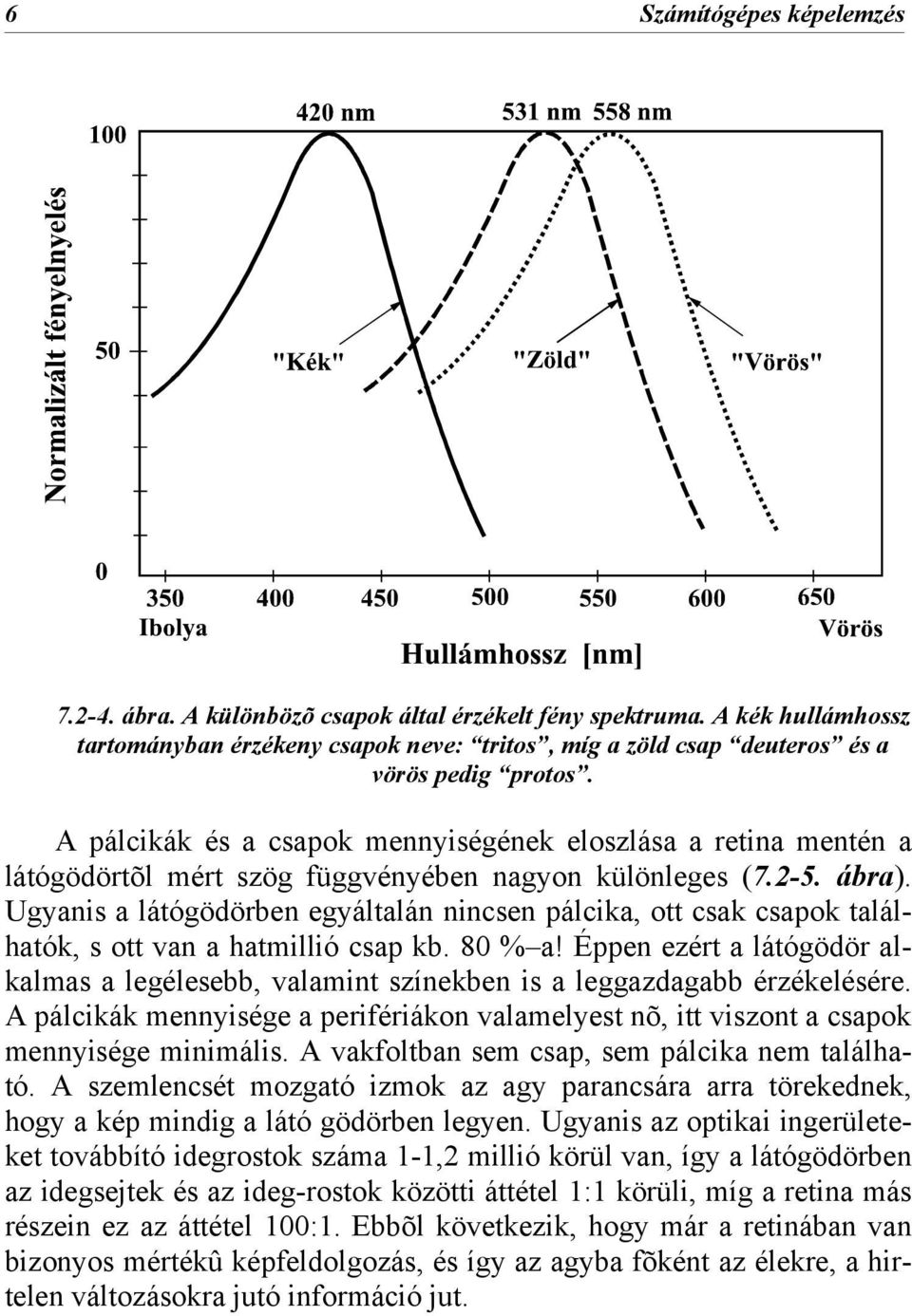Ugyanis a látógödörben egyáltalán nincsen pálcika, ott csak csapok találhatók, s ott van a hatmillió csap kb. 80 % a!