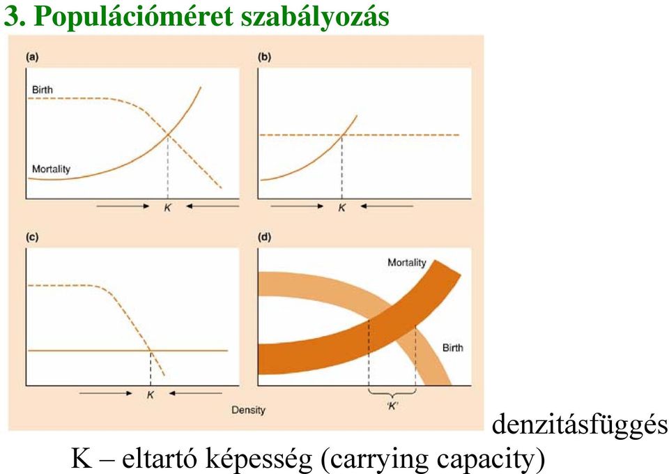 denzitásfüggés K