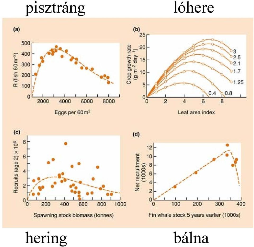 hering