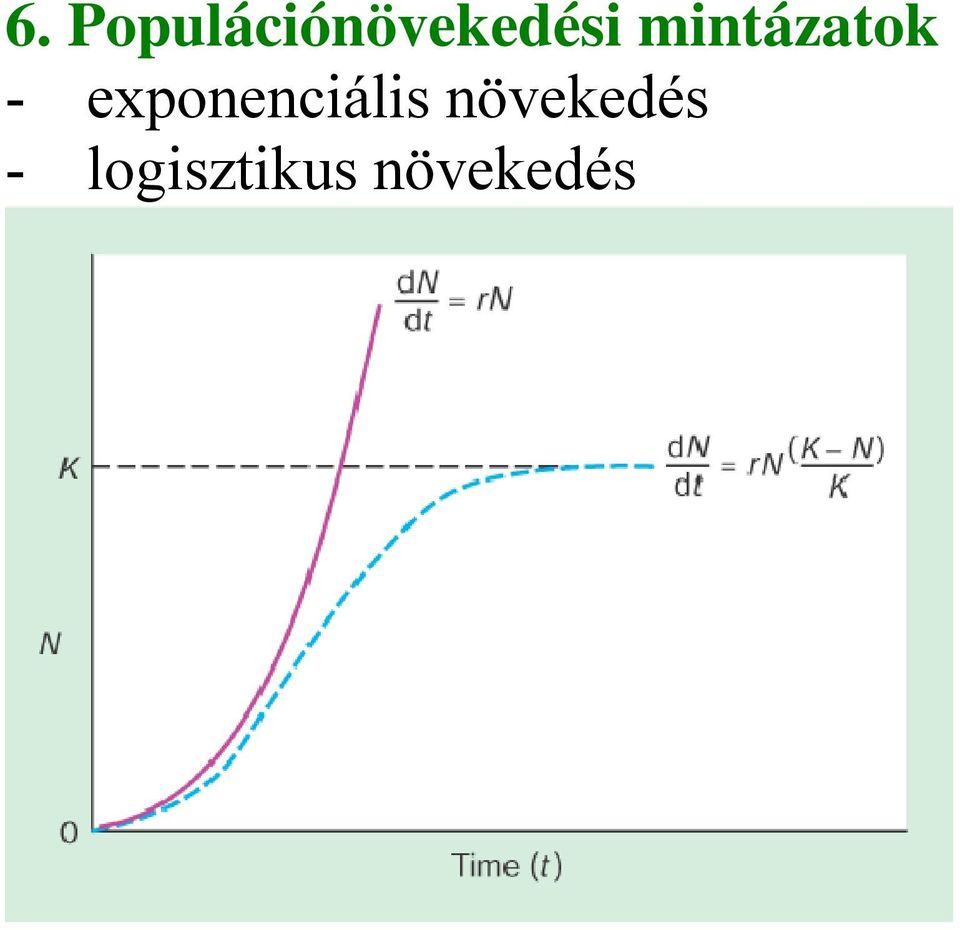 mintázatok -