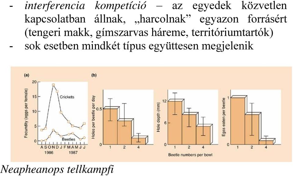 (tengeri makk, gímszarvas háreme, territóriumtartók) -