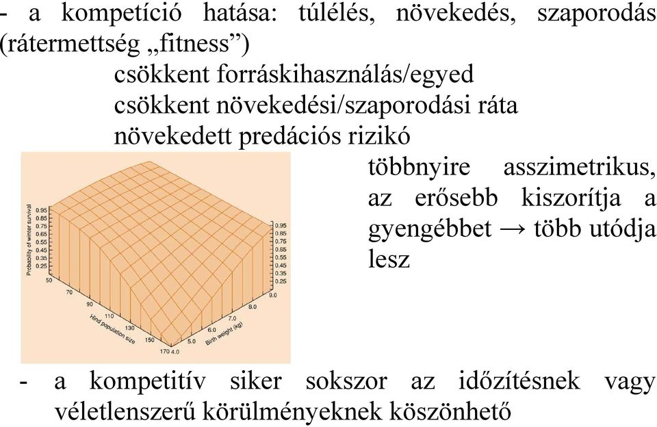 predációs rizikó többnyire asszimetrikus, az erősebb kiszorítja a gyengébbet több