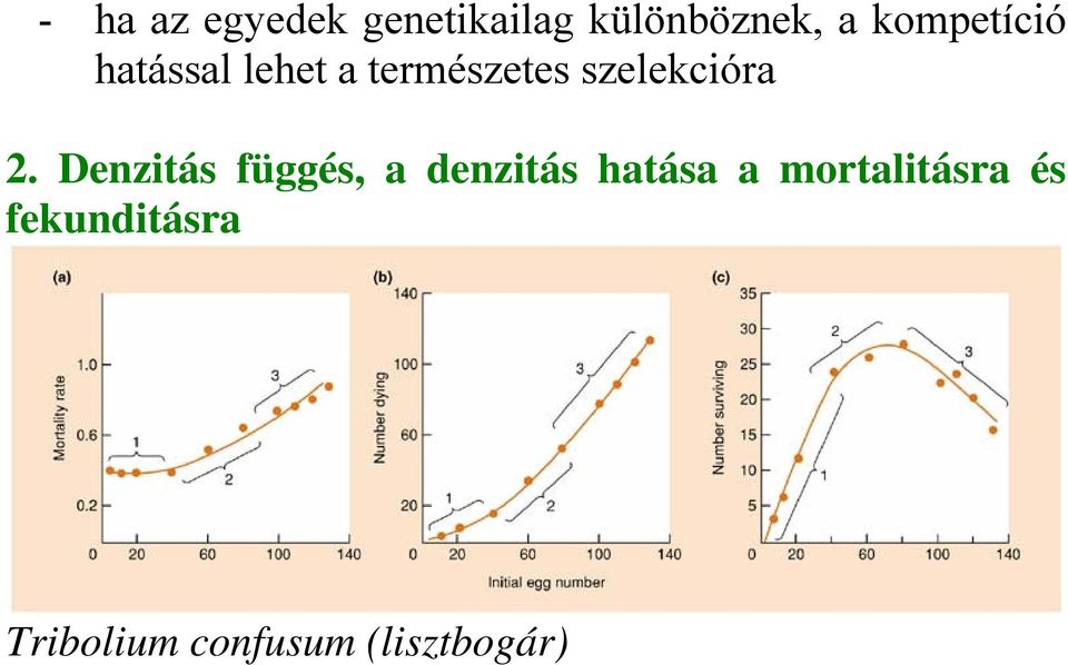 szelekcióra 2.