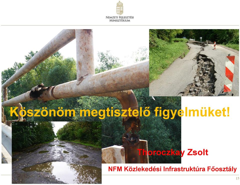 Thoroczkay Zsolt NFM