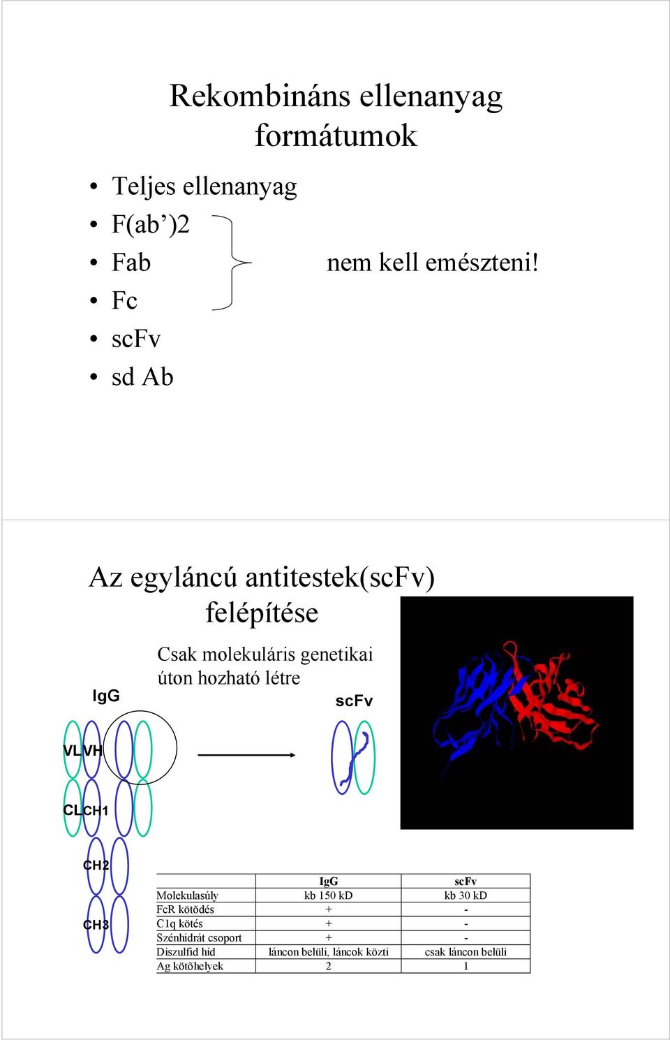 Az egyláncú antitestek(scfv) felépítése IgG Csak molekuláris genetikai úton hozható létre scfv