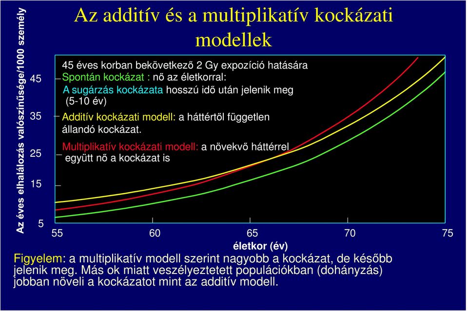 Multiplikatív kockázati modell: a növekvő háttérrel együtt nő a kockázat is 15 5 55 60 65 70 75 életkor (év) Figyelem: a multiplikatív modell