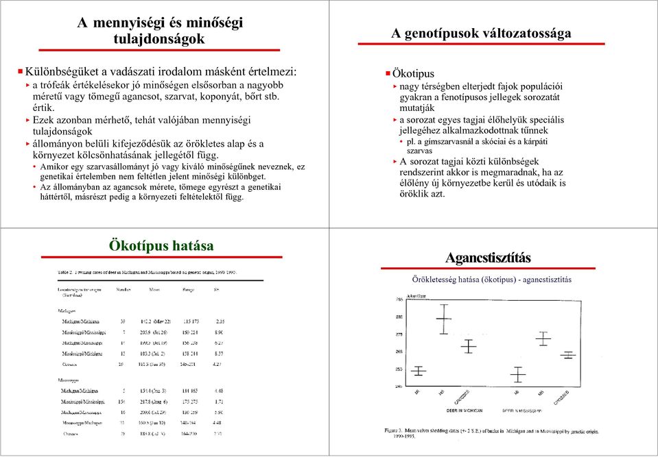 Amikor egy szarvasállományt jó vagy kiváló minôségûnek neveznek, ez genetikai értelemben nem feltétlen jelent minôségi különbget.