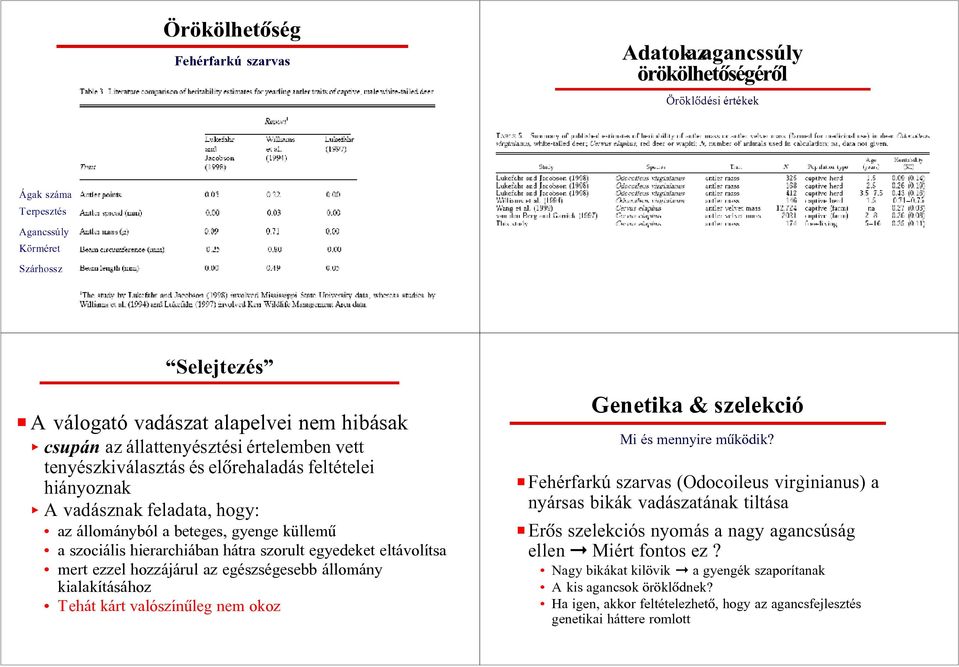 hátra szorult egyedeket eltávolítsa mert ezzel hozzájárul az egészségesebb állomány kialakításához Tehát kárt valószínûleg nem okoz Mi és mennyire mûködik?