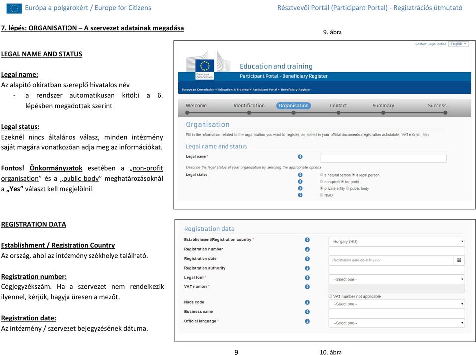 Önkormányzatok esetében a non-profit organisation és a public body meghatározásoknál a Yes választ kell megjelölni!