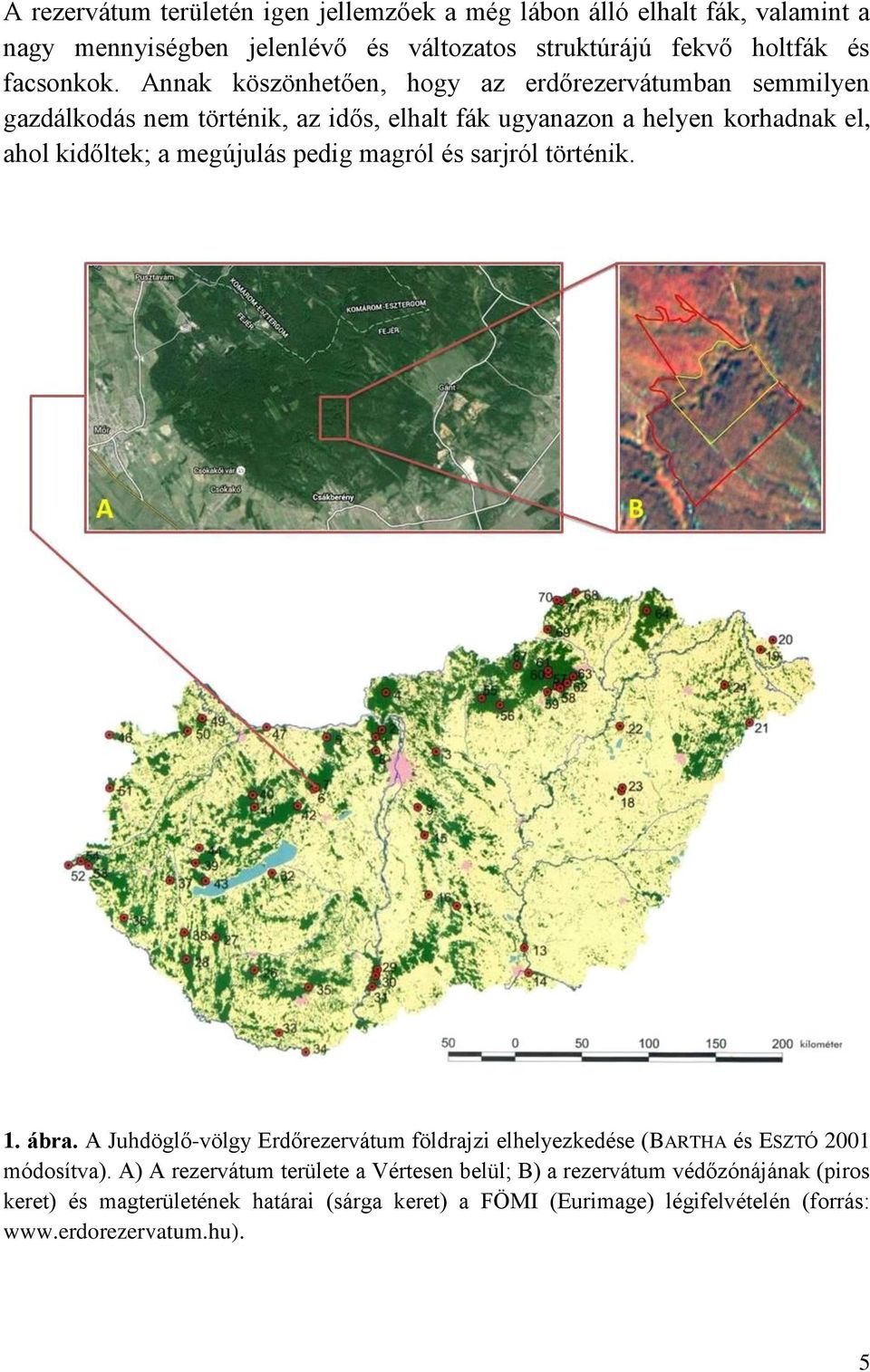 pedig magról és sarjról történik. 1. ábra. A Juhdöglő-völgy Erdőrezervátum földrajzi elhelyezkedése (BARTHA és ESZTÓ 2001 módosítva).