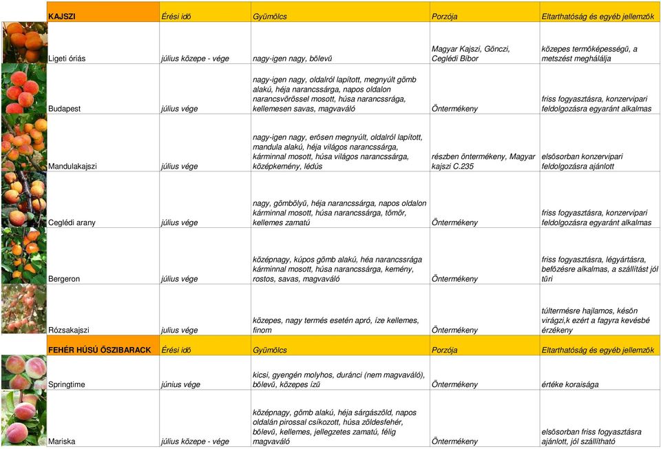 nagy, erősen megnyúlt, oldalról lapított, mandula alakú, héja világos narancssárga, kárminnal mosott, húsa világos narancssárga, középkemény, lédús részben öntermékeny, Magyar kajszi C.