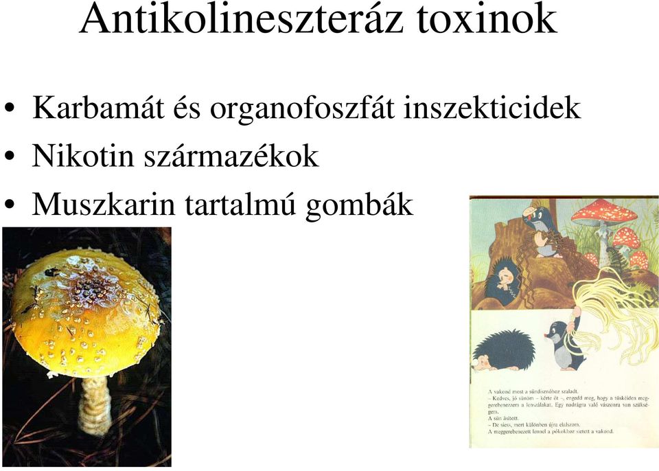 inszekticidek Nikotin
