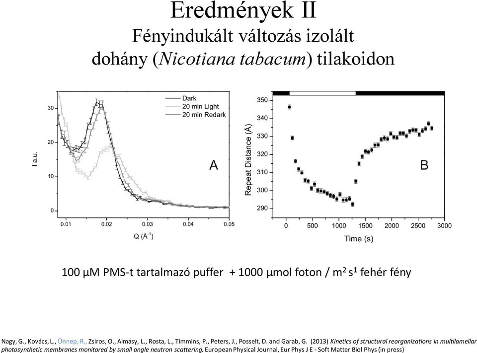, Peters, J., Posselt, D. and Garab, G.
