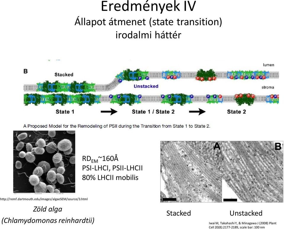 edu/images/algaesem/source/3.