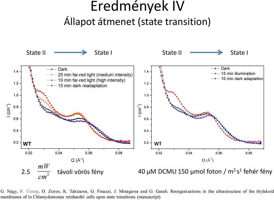 0 1.0 0.8 0.8 0.6 0.6 0.4 0.4 0. WT 0. WT 0.0 0.04 0.06 0.08 Q (Å -1 ) mw.5 távoli vörös fény cm 0.0 0.04 0.06 0.08 Q (Å -1 ) 40 µm DCMU 150 µmol foton / m s 1 fehér fény G.