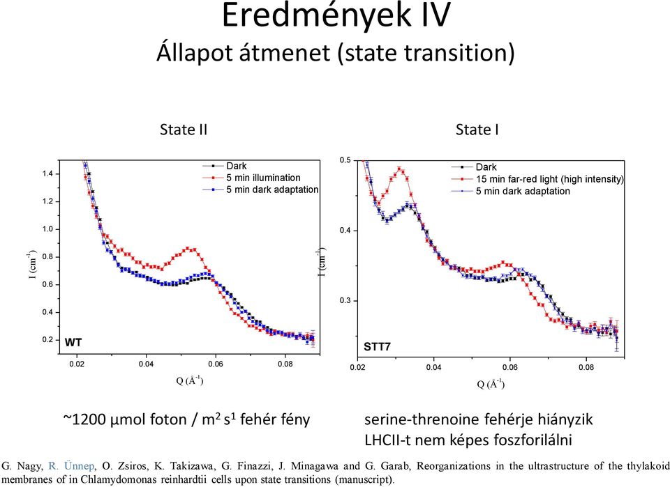 08 Q (Å -1 ) STT7 0.0 0.04 0.06 0.08 Q (Å -1 ) ~100 µmol foton / m s 1 fehér fény serine-threnoine fehérje hiányzik LHCII-t nem képes foszforilálni G.