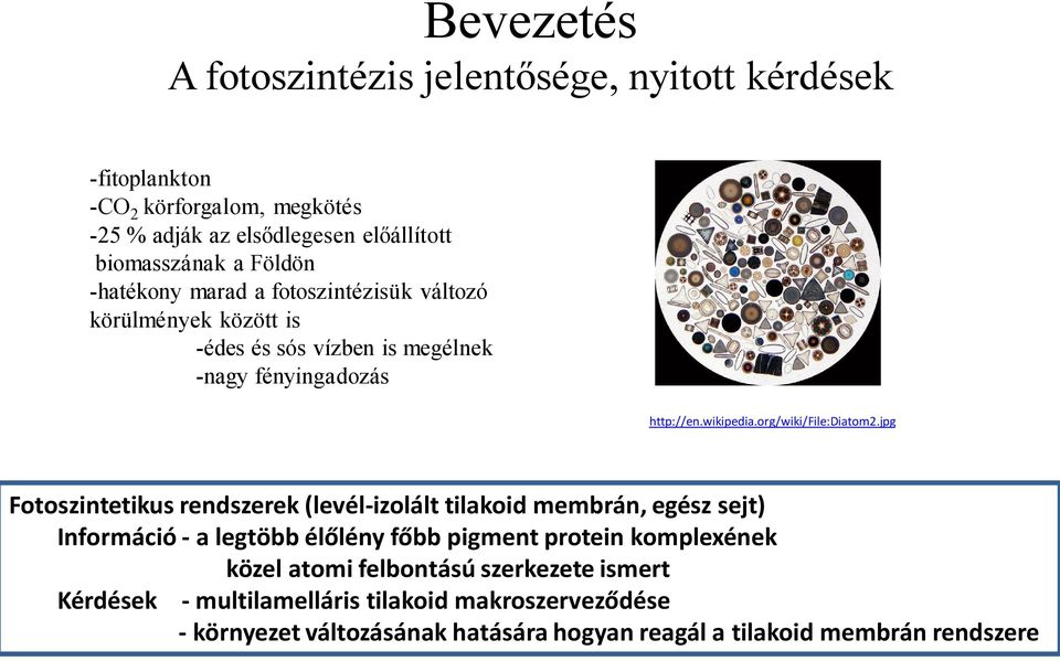 jpg Fotoszintetikus rendszerek (levél-izolált tilakoid membrán, egész sejt) Információ - a legtöbb élőlény főbb pigment protein komplexének közel atomi
