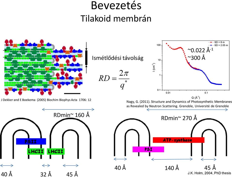 1 J Dekker and E Boekema (005) Biochim Biophys Acta 1706: 1 Q (Å -1 ) Nagy, G. (011).