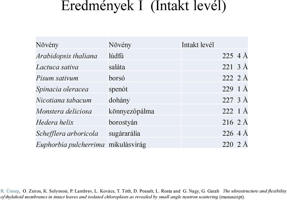 4 Å Euphorbia pulcherrima mikulásvirág 0 Å R. Ünnep, O. Zsiros, K. Solymosi, P. Lambrev, L. Kovács, T. Tóth, D. Posselt, L. Rosta and G. Nagy, G.