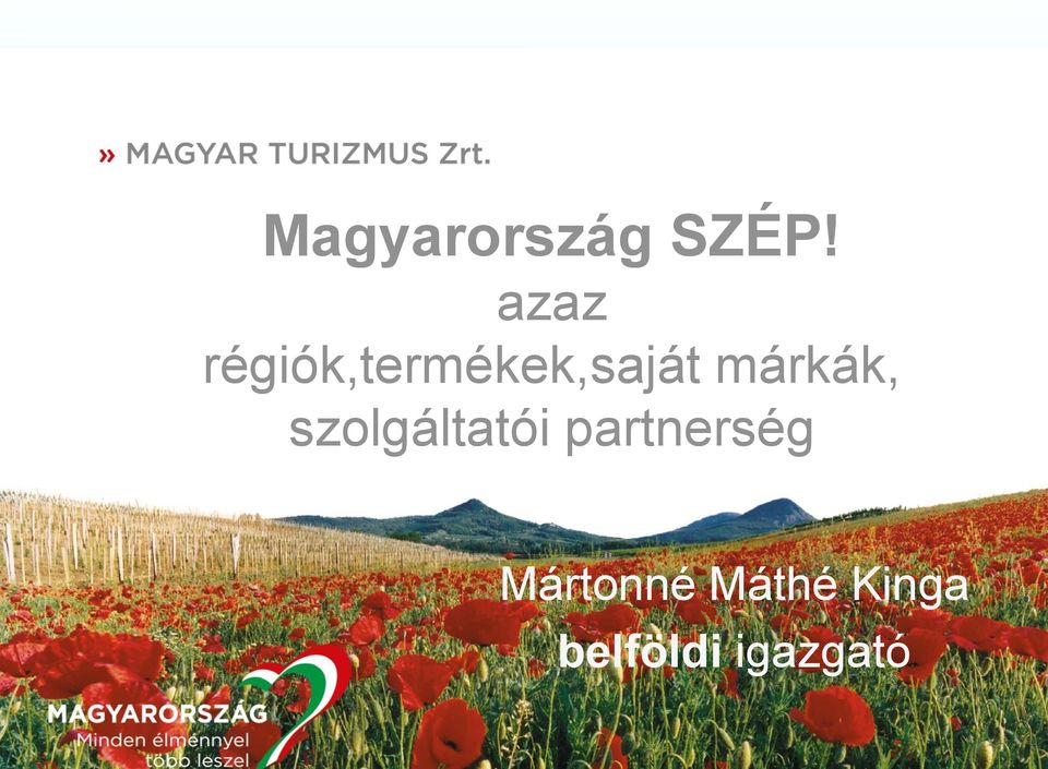 márkák, szolgáltatói