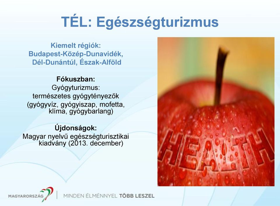 gyógytényezők (gyógyvíz, gyógyiszap, mofetta, klíma, gyógybarlang)