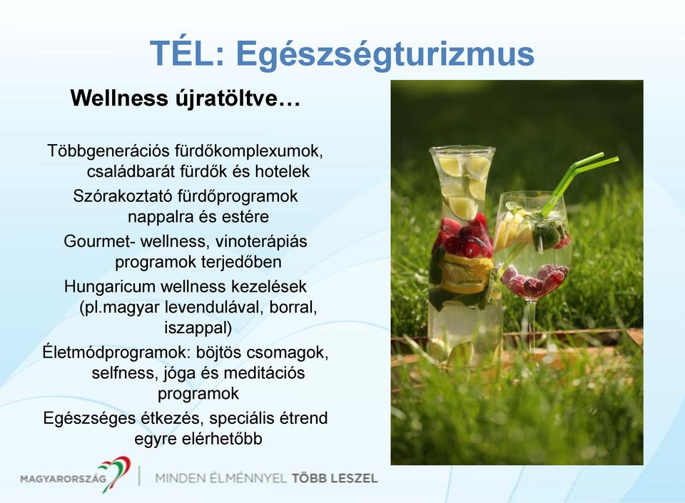 terjedőben Hungaricum wellness kezelések (pl.