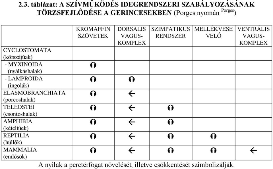 (csontoshalak) AMPHIBIA (kétéltűek) REPTILIA (hüllők) MAMMALIA (emlősök) KROMAFFIN SZÖVETEK DORSALIS VAGUS- KOMPLEX