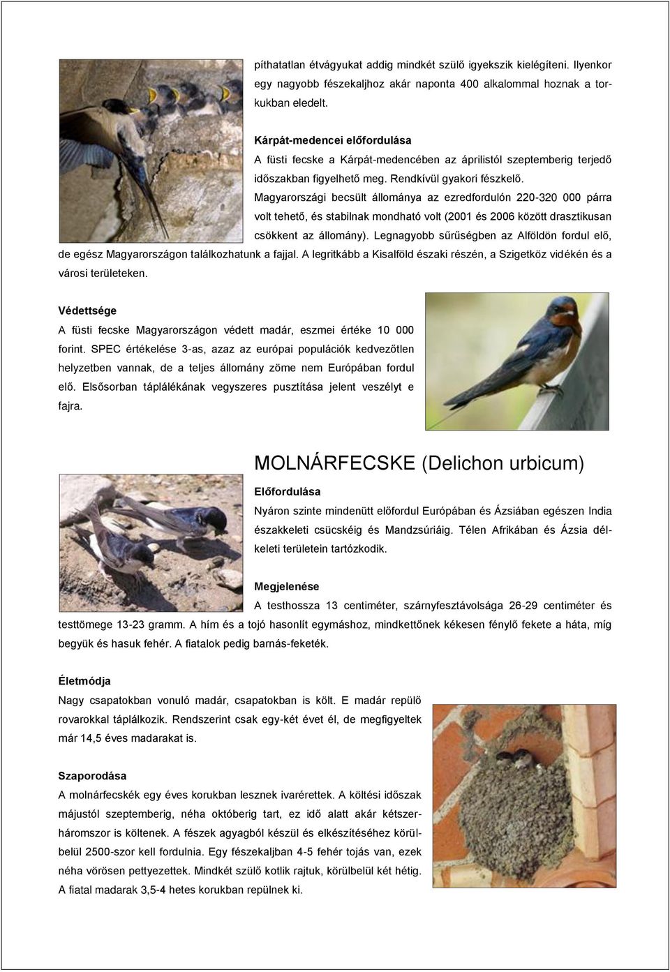 Magyarországi becsült állománya az ezredfordulón 220-320 000 párra volt tehető, és stabilnak mondható volt (2001 és 2006 között drasztikusan csökkent az állomány).
