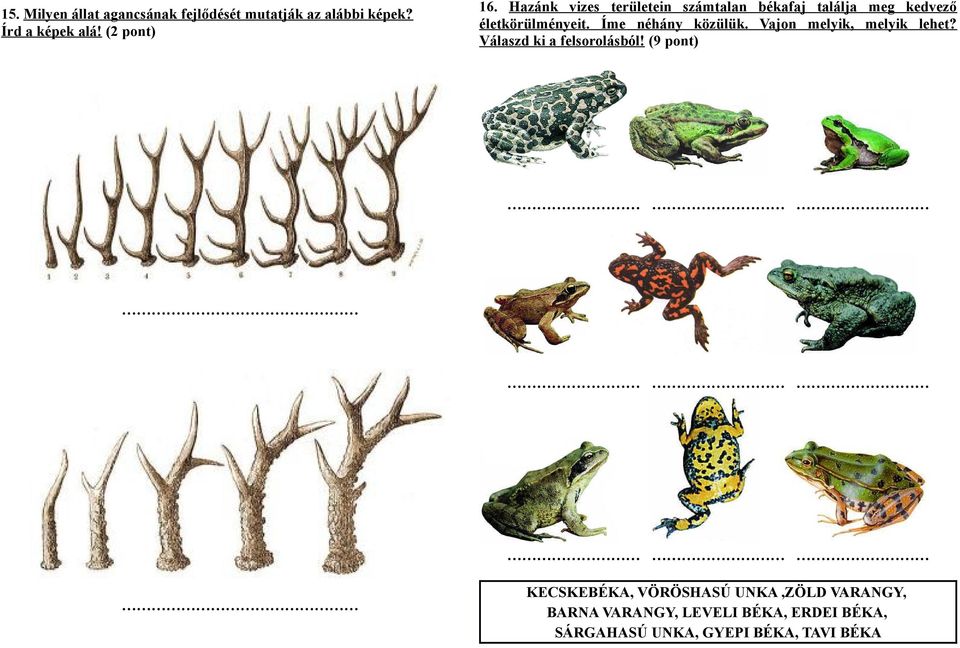 Íme néhány közülük. Vajon melyik, melyik lehet? Válaszd ki a felsorolásból!