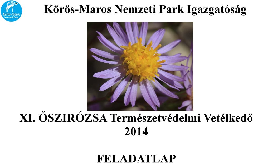 ŐSZIRÓZSA