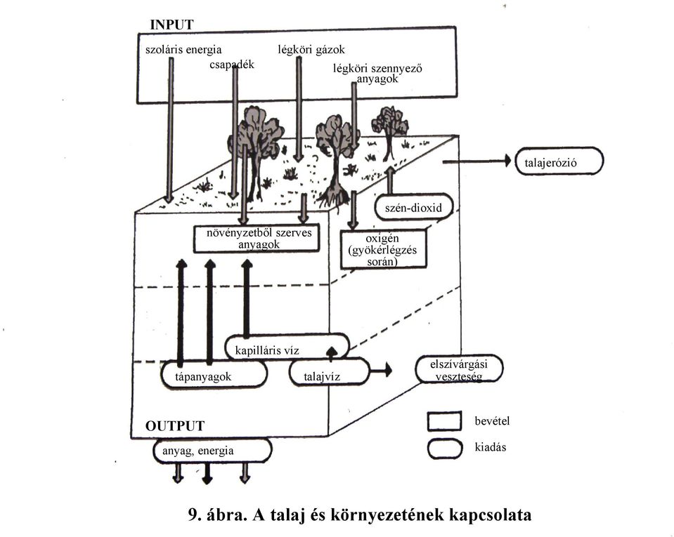 (gyökérlégzés során) tápanyagok kapilláris víz talajvíz elszívárgási