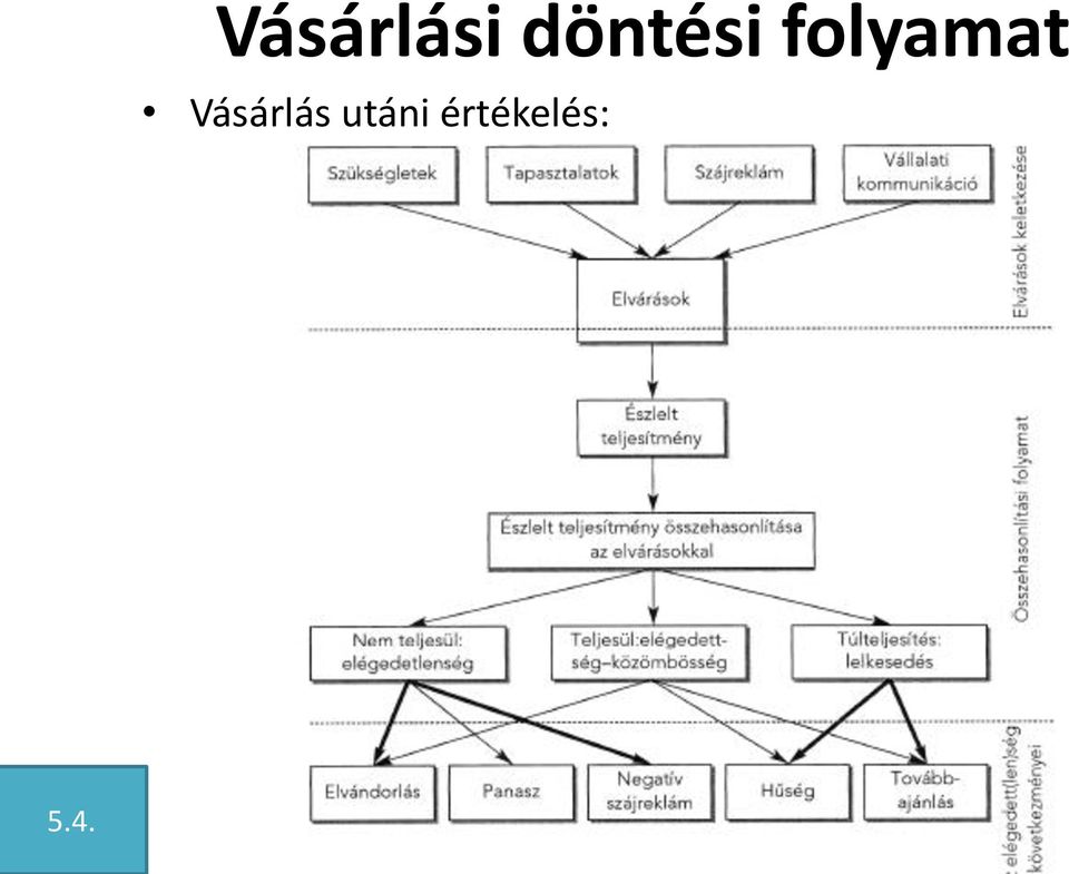 folyamat