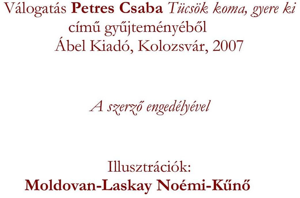 Kiadó, Kolozsvár, 2007 A szerző