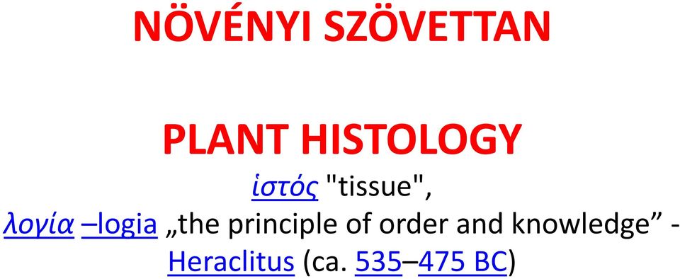 logia the principle of order
