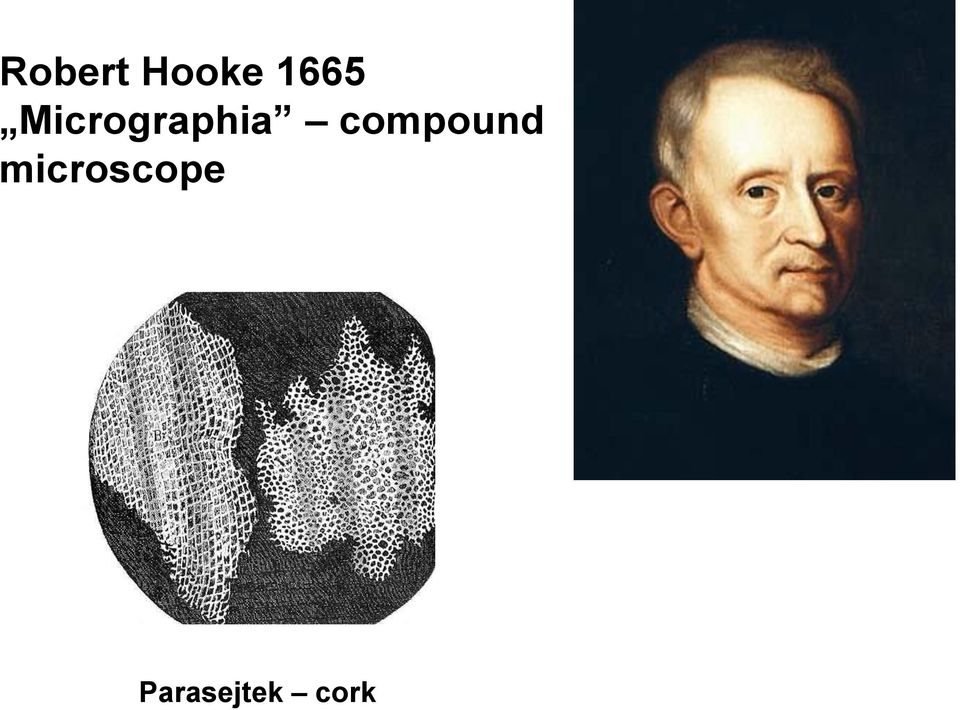 Micrographia