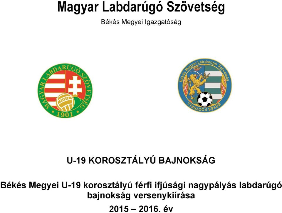 Megyei U-19 korosztályú férfi ifjúsági