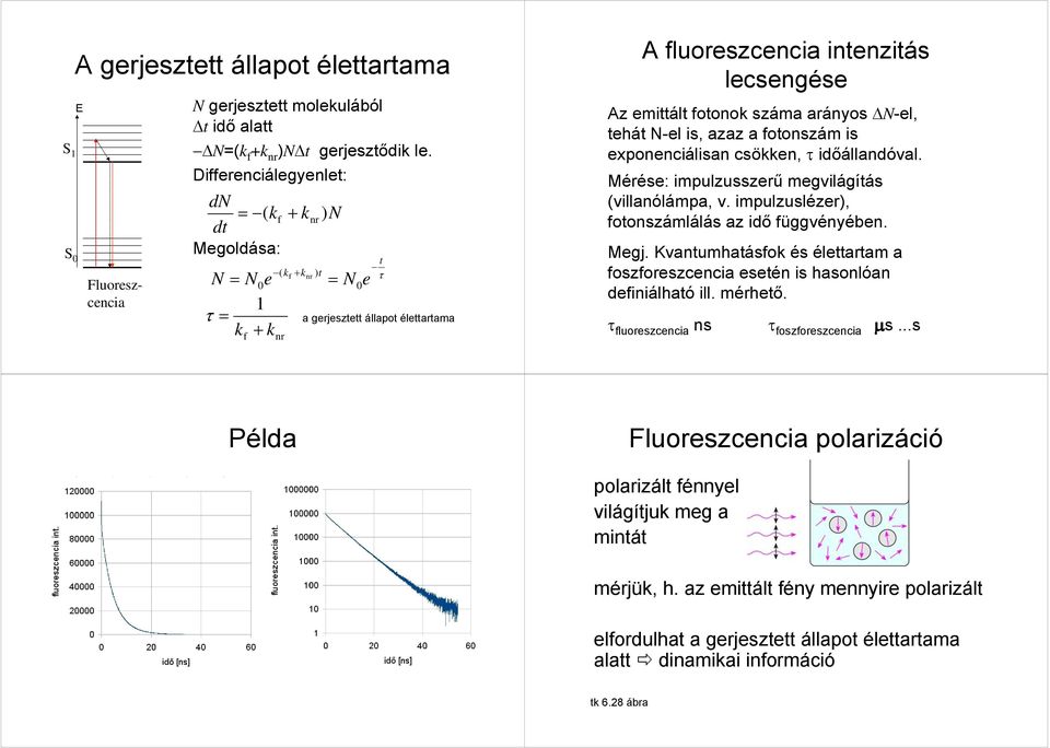 tehát N-e is, azaz a otonszá is exponenciáisan csökken, τ időáandóva. Mérése: ipuzusszerű egviágítás (vianóápa, v. ipuzusézer), otonszááás az idő üggvényében. Megj.