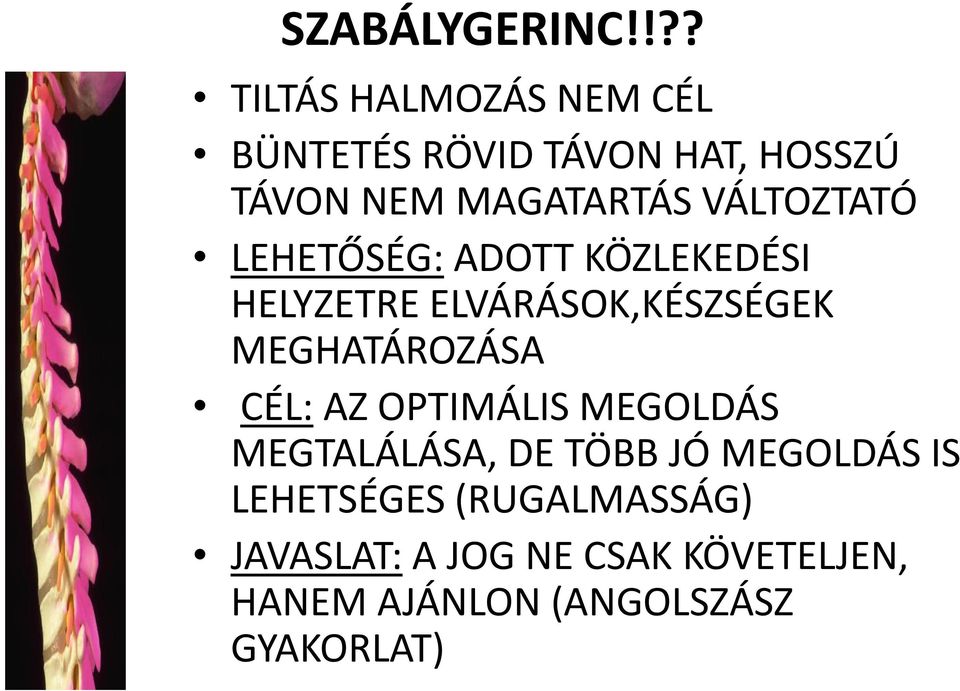 VÁLTOZTATÓ LEHETŐSÉG: ADOTT KÖZLEKEDÉSI HELYZETRE ELVÁRÁSOK,KÉSZSÉGEK MEGHATÁROZÁSA