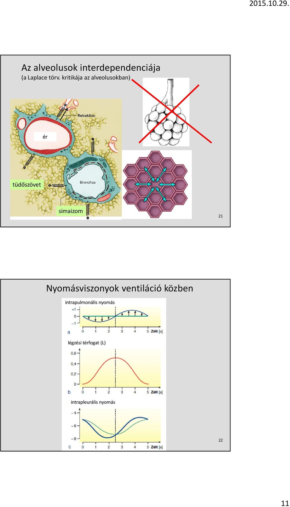 21 Nyomásviszonyok ventiláció közben intrapulmonális