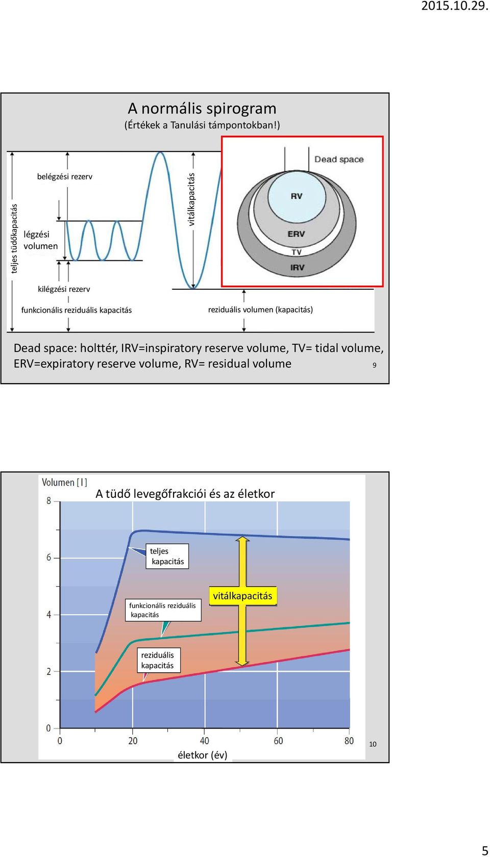 kapacitás reziduális volumen (kapacitás) Dead space: holttér, IRV=inspiratory reserve volume, TV= tidal volume,