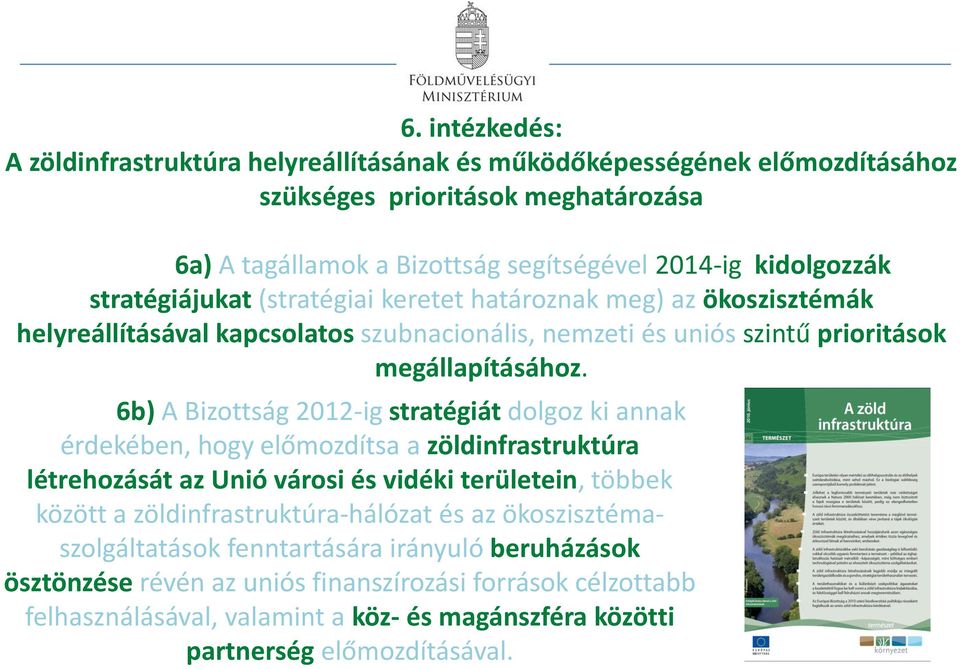 6b) A Bizottság 2012-ig stratégiát dolgoz ki annak érdekében, hogy előmozdítsa a zöldinfrastruktúra létrehozását az Unió városi és vidéki területein, többek között a