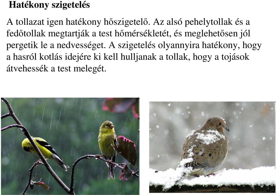 meglehetısen jól pergetik le a nedvességet.
