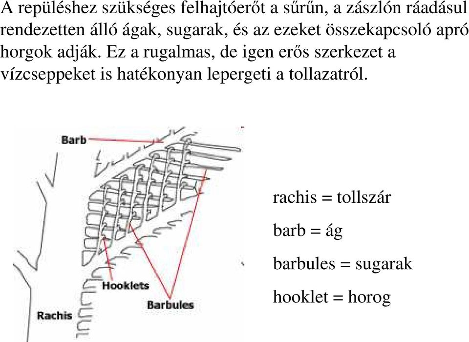 adják.