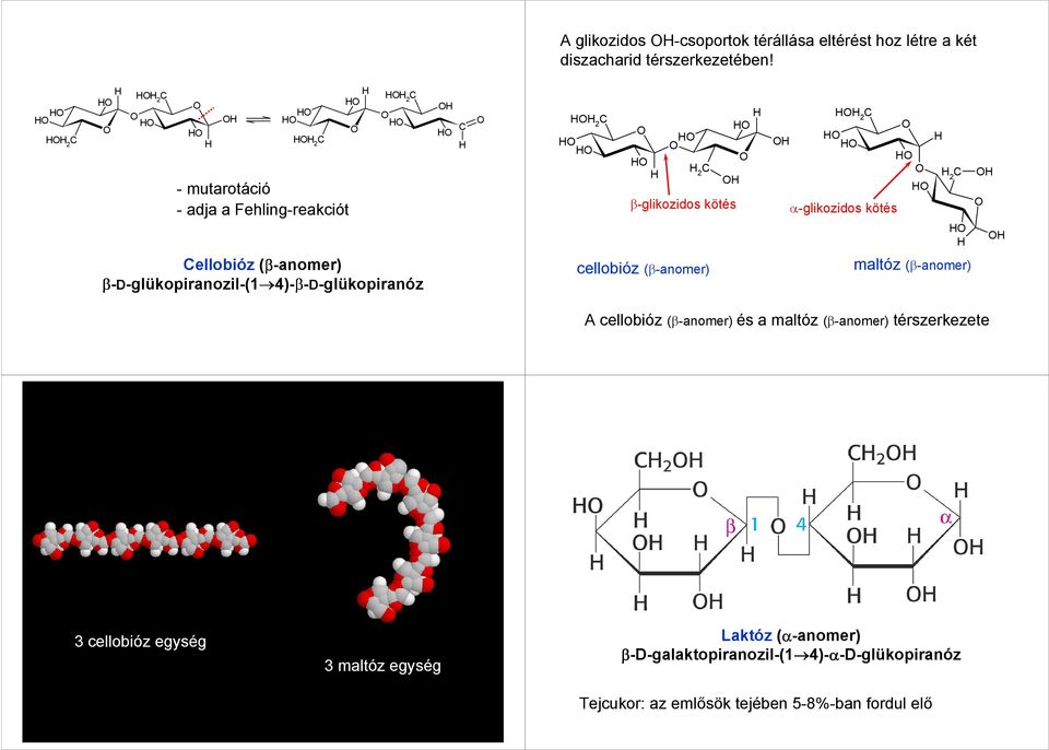 β-d-glükopiranozil-(1 4)-β-D-glükopiranóz cellobióz (β-anomer) maltóz (β-anomer) A cellobióz (β-anomer) és a maltóz