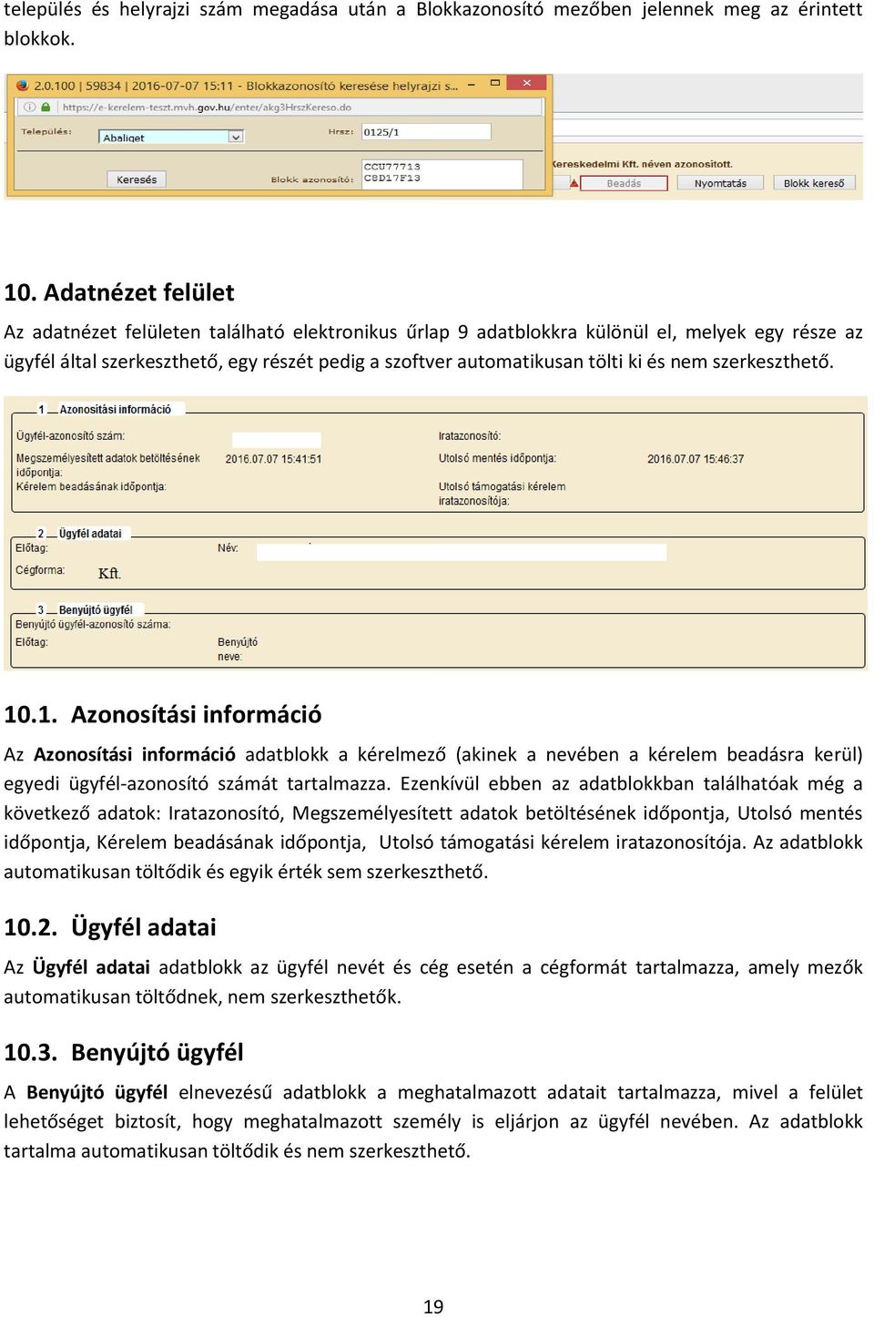 nem szerkeszthető. 10.1. Azonosítási információ Az Azonosítási információ adatblokk a kérelmező (akinek a nevében a kérelem beadásra kerül) egyedi ügyfél-azonosító számát tartalmazza.