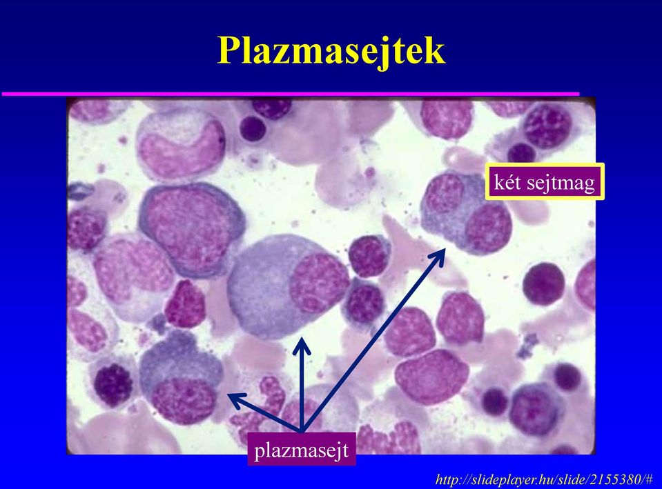 http://slideplayer.