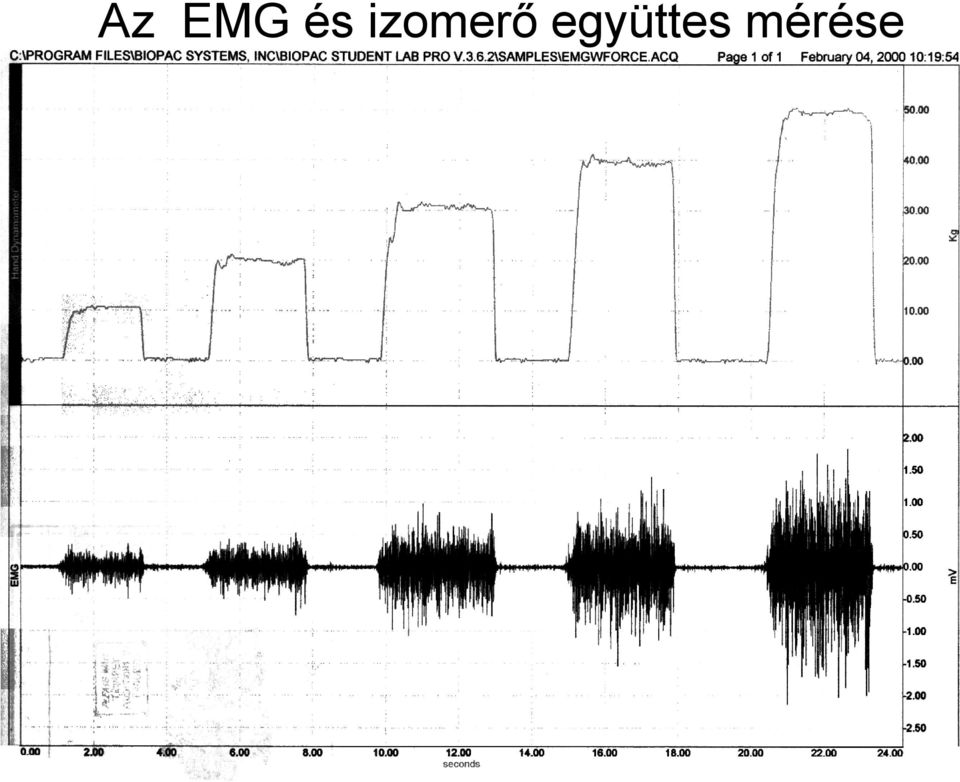 együttes